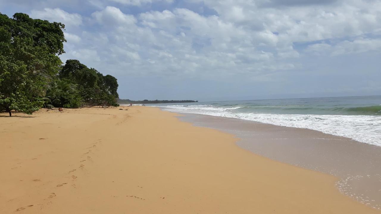 בוקס דל טורו Bluff Beach Retreat מראה חיצוני תמונה