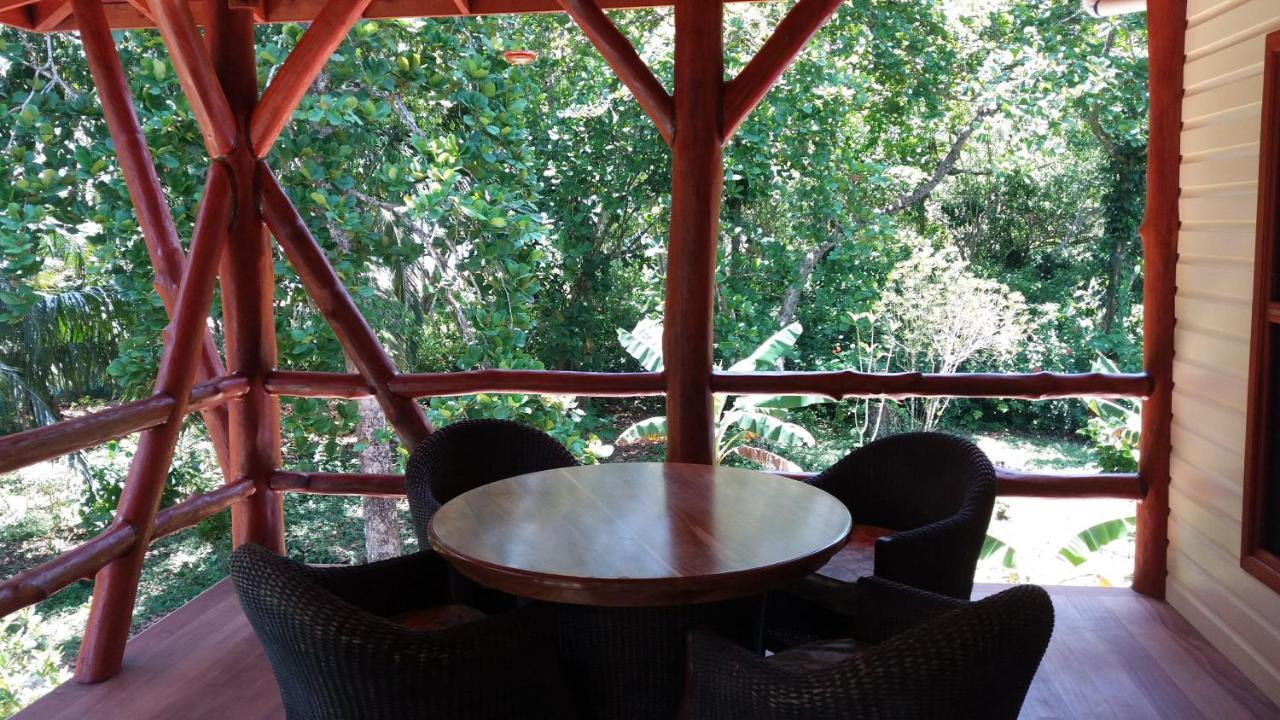 בוקס דל טורו Bluff Beach Retreat מראה חיצוני תמונה